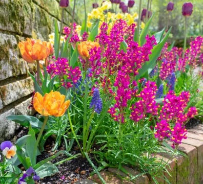 bordure de jardin