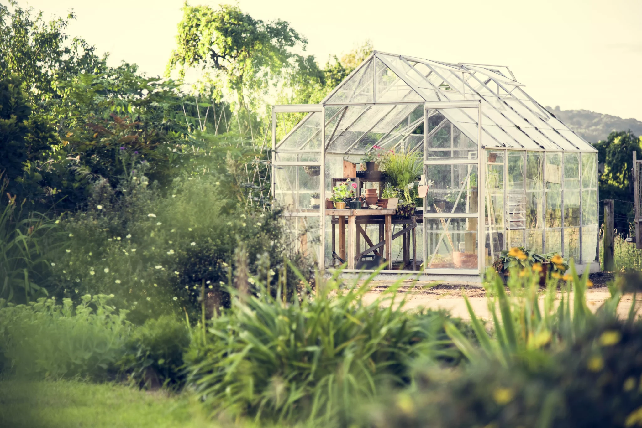 serre de jardin