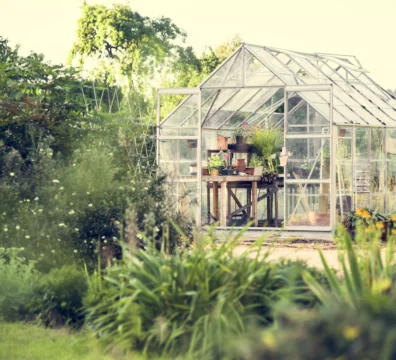 serre de jardin