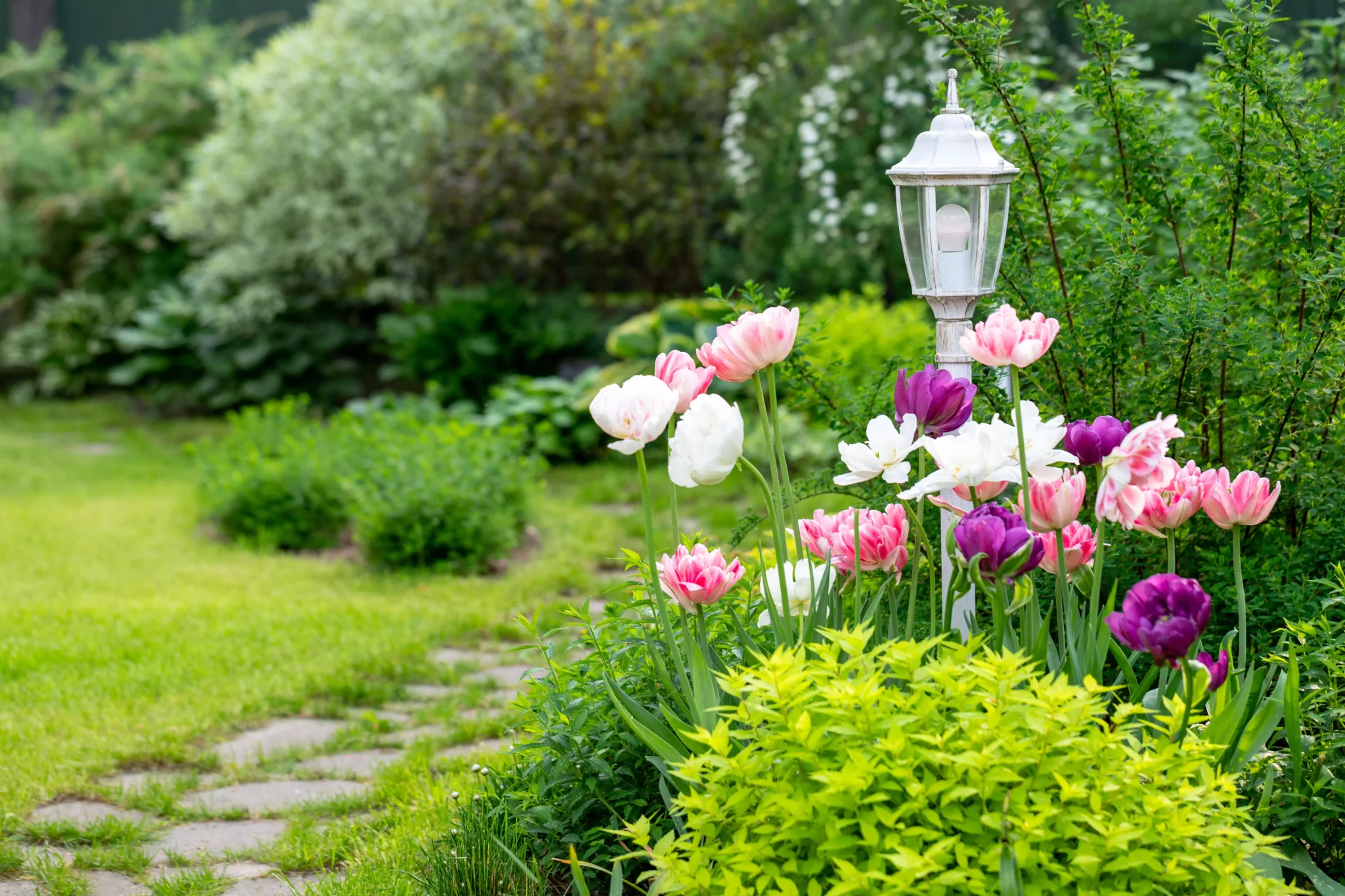 entretien jardin