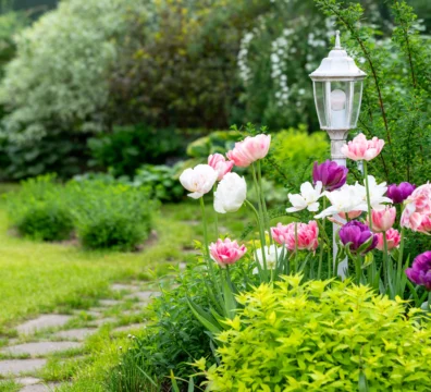entretien jardin